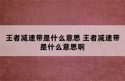 王者减速带是什么意思 王者减速带是什么意思啊